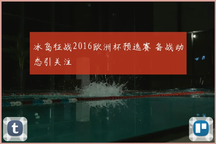 冰岛征战2016欧洲杯预选赛 备战动态引关注