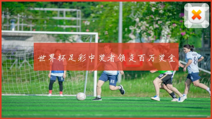 世界杯足彩中奖者领走百万奖金