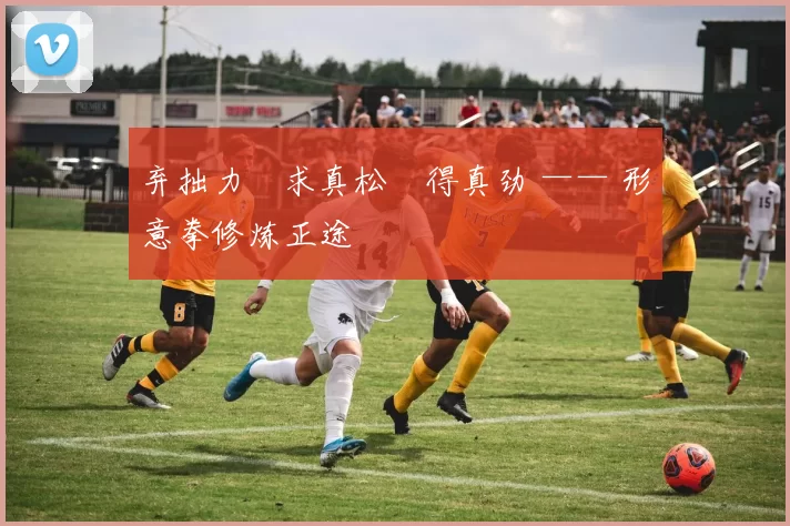 弃拙力・求真松・得真劲 —— 形意拳修炼正途