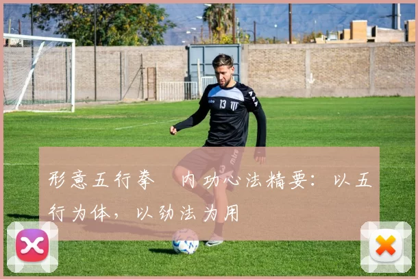 形意五行拳・内功心法精要：以五行为体，以劲法为用