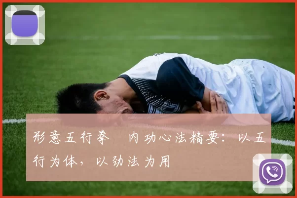 形意五行拳・内功心法精要:以五行为体,以劲法为用