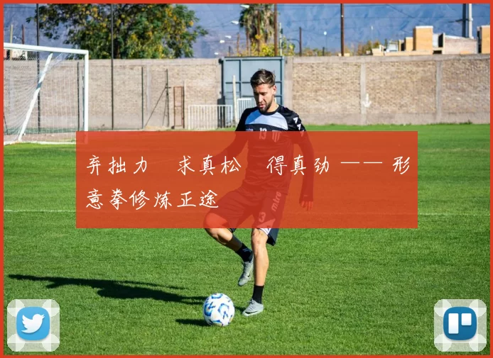 弃拙力・求真松・得真劲 —— 形意拳修炼正途