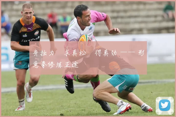 弃拙力・求真松・得真劲 —— 形意拳修炼正途