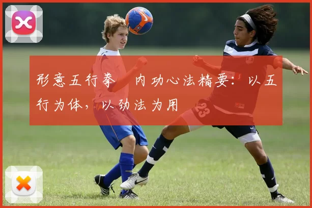 形意五行拳・内功心法精要：以五行为体，以劲法为用