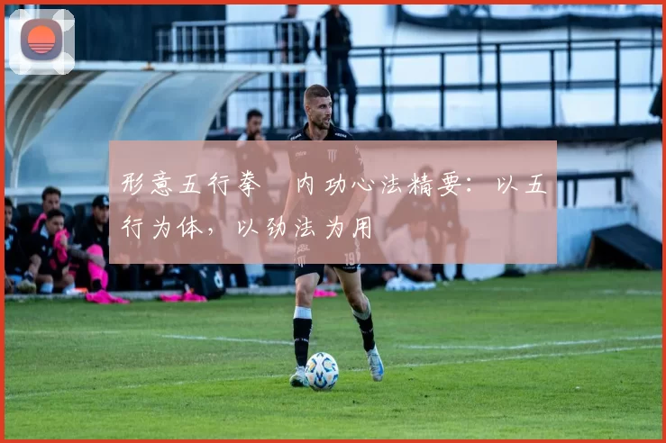 形意五行拳・内功心法精要:以五行为体,以劲法为用