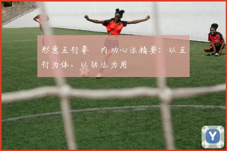 形意五行拳・内功心法精要：以五行为体，以劲法为用