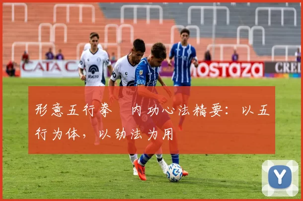 形意五行拳・内功心法精要:以五行为体,以劲法为用