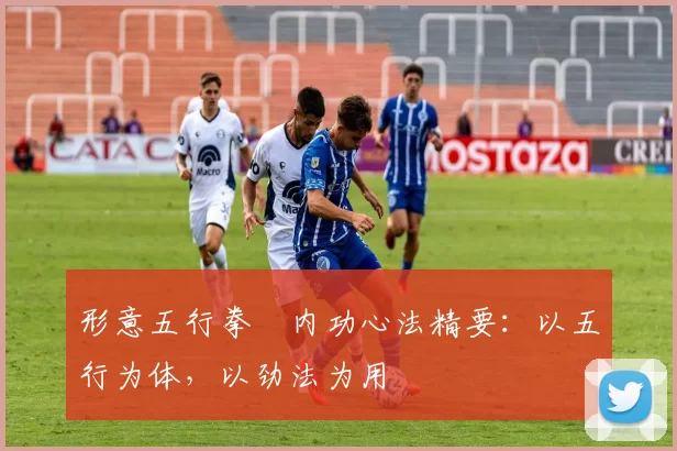 形意五行拳・内功心法精要：以五行为体，以劲法为用