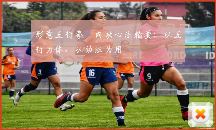 形意五行拳・内功心法精要:以五行为体,以劲法为用