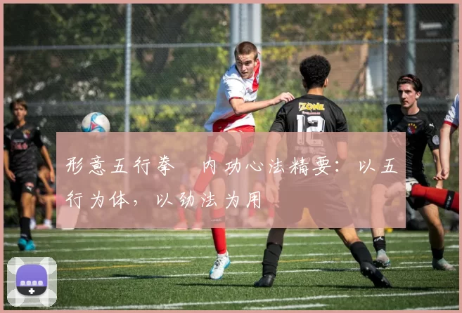 形意五行拳・内功心法精要：以五行为体，以劲法为用