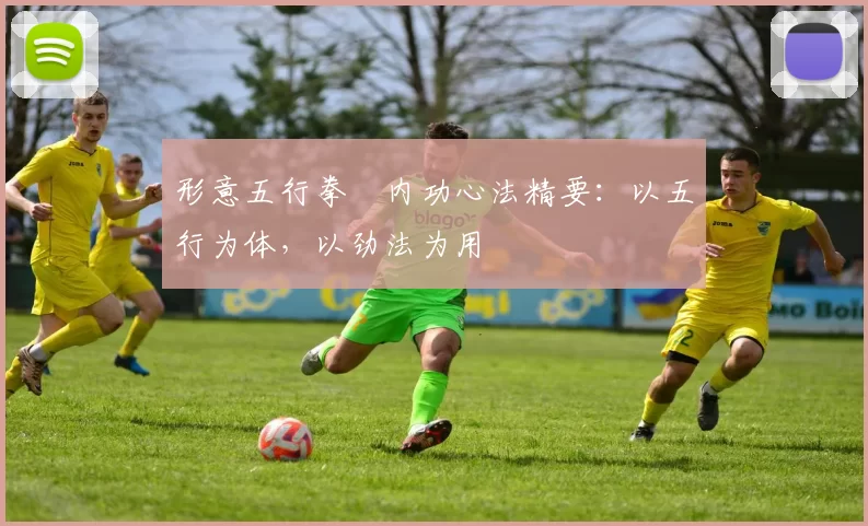 形意五行拳・内功心法精要：以五行为体，以劲法为用