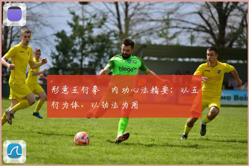 形意五行拳・内功心法精要：以五行为体，以劲法为用