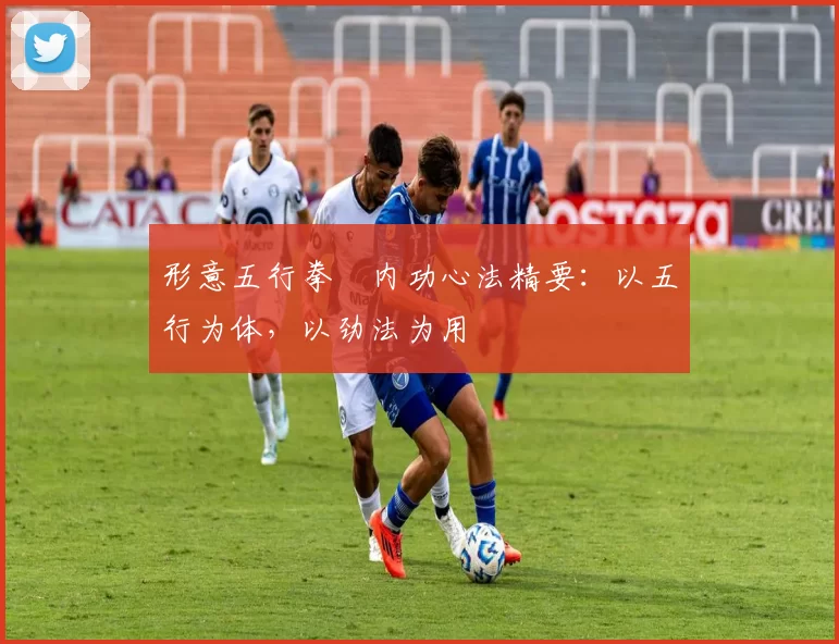 形意五行拳・内功心法精要：以五行为体，以劲法为用