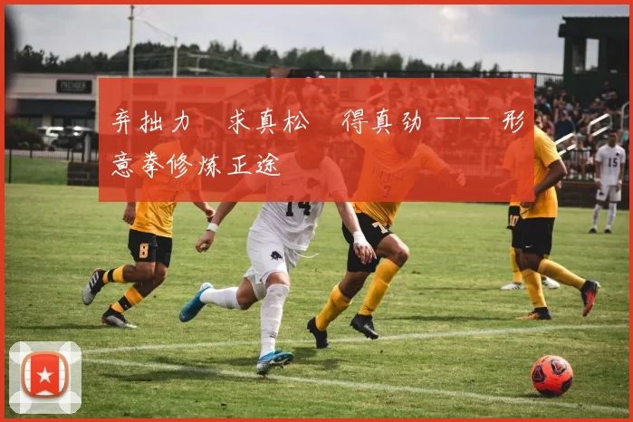 弃拙力・求真松・得真劲 —— 形意拳修炼正途