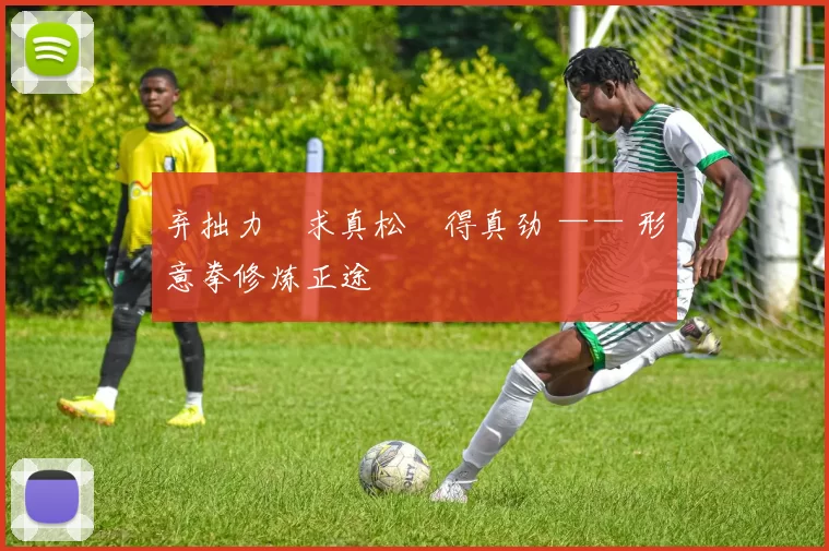 弃拙力・求真松・得真劲 —— 形意拳修炼正途