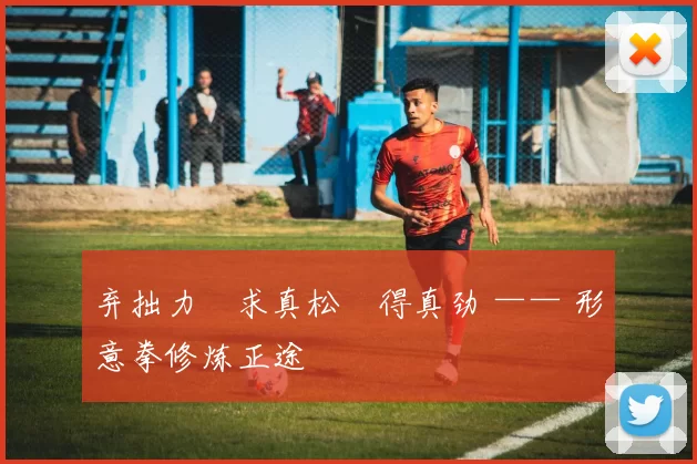 弃拙力・求真松・得真劲 —— 形意拳修炼正途