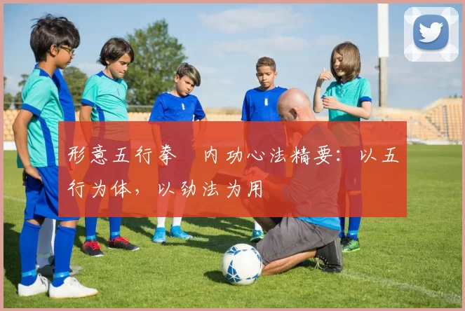 形意五行拳・内功心法精要：以五行为体，以劲法为用