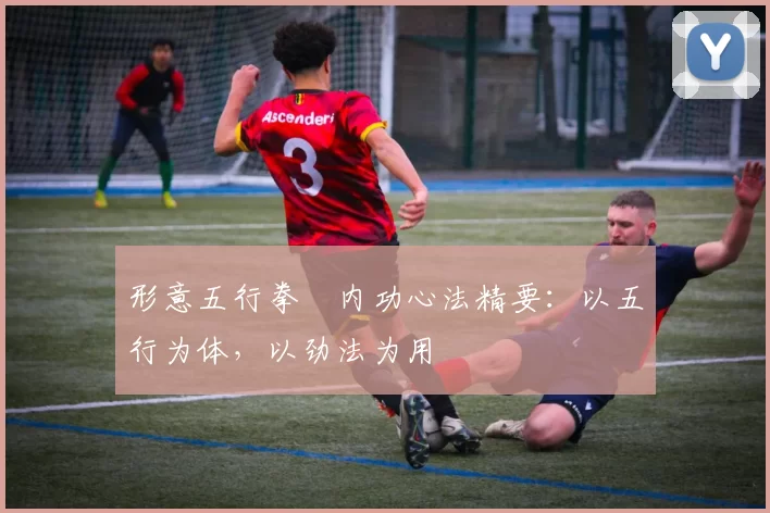 形意五行拳・内功心法精要：以五行为体，以劲法为用