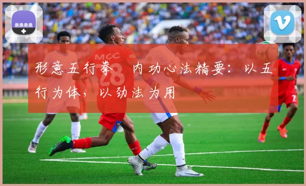 形意五行拳・内功心法精要：以五行为体，以劲法为用