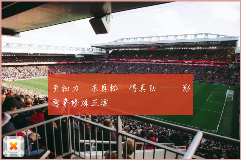 弃拙力・求真松・得真劲 —— 形意拳修炼正途