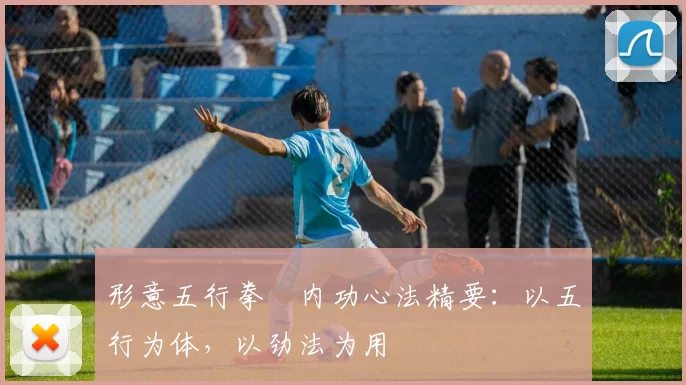 形意五行拳・内功心法精要：以五行为体，以劲法为用