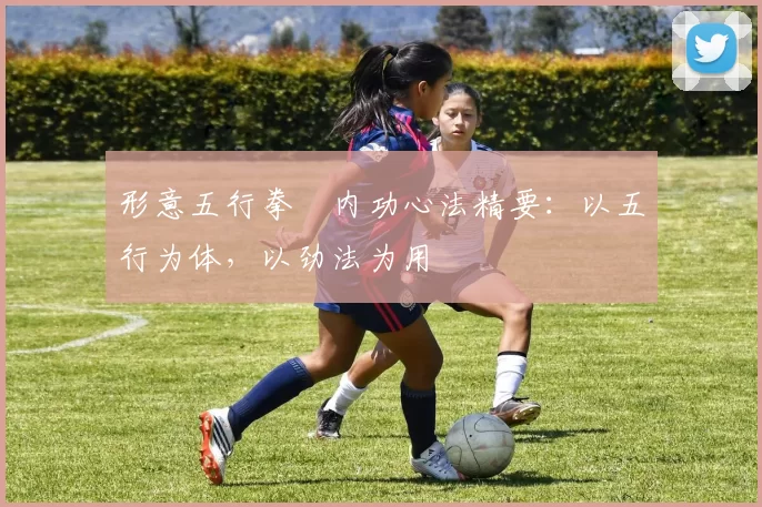 形意五行拳・内功心法精要：以五行为体，以劲法为用