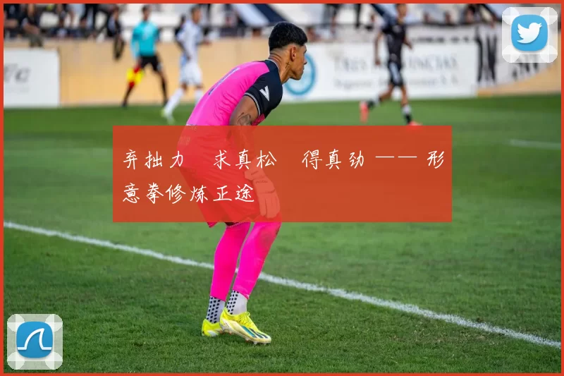 弃拙力・求真松・得真劲 —— 形意拳修炼正途