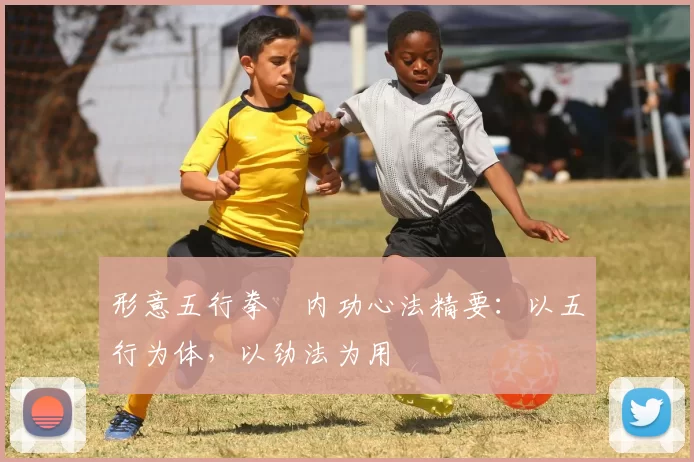 形意五行拳・内功心法精要:以五行为体,以劲法为用