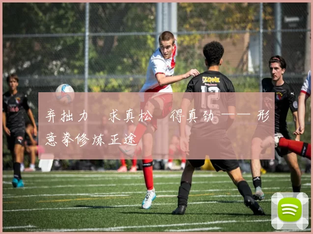 弃拙力・求真松・得真劲 —— 形意拳修炼正途