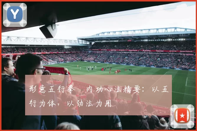 形意五行拳・内功心法精要:以五行为体,以劲法为用