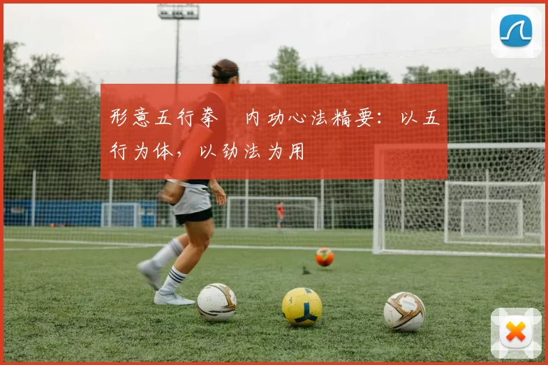 形意五行拳・内功心法精要:以五行为体,以劲法为用