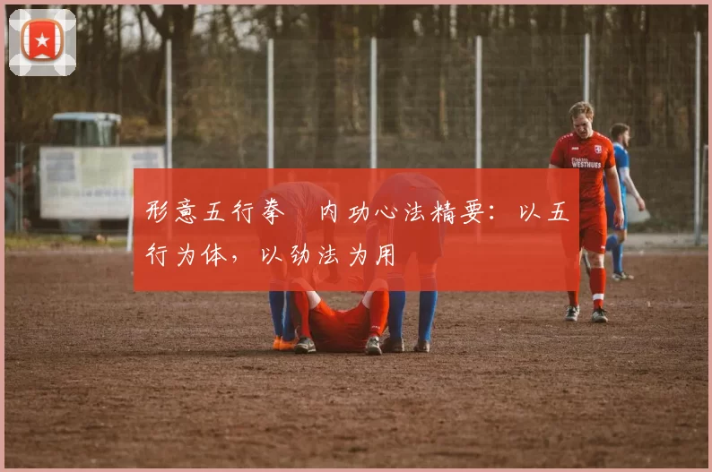 形意五行拳・内功心法精要:以五行为体,以劲法为用