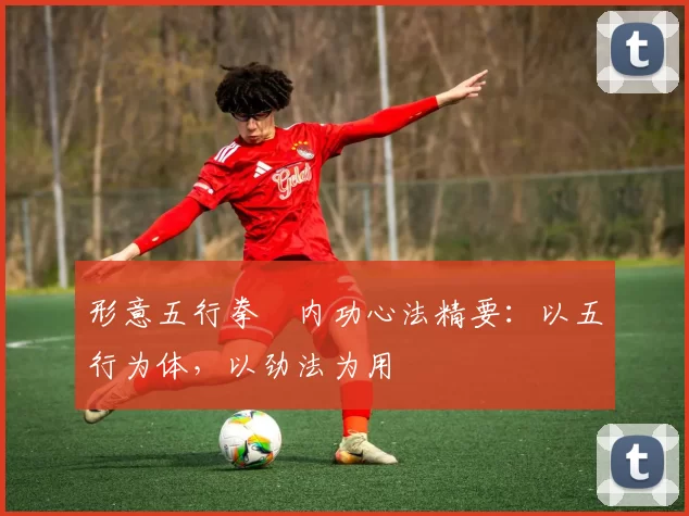 形意五行拳・内功心法精要：以五行为体，以劲法为用