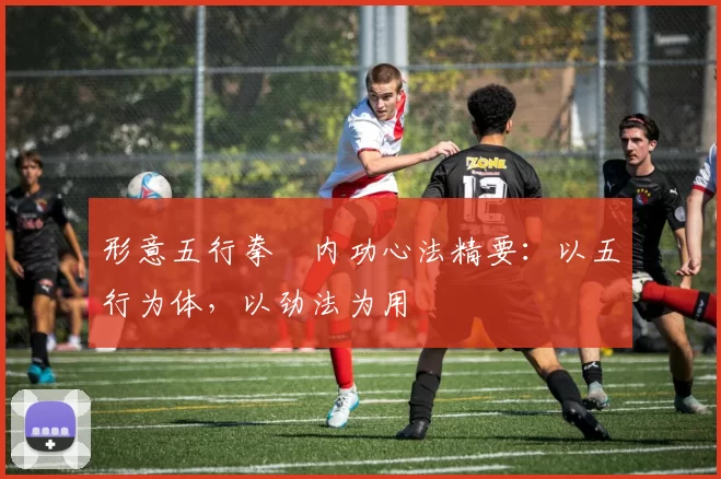形意五行拳・内功心法精要：以五行为体，以劲法为用
