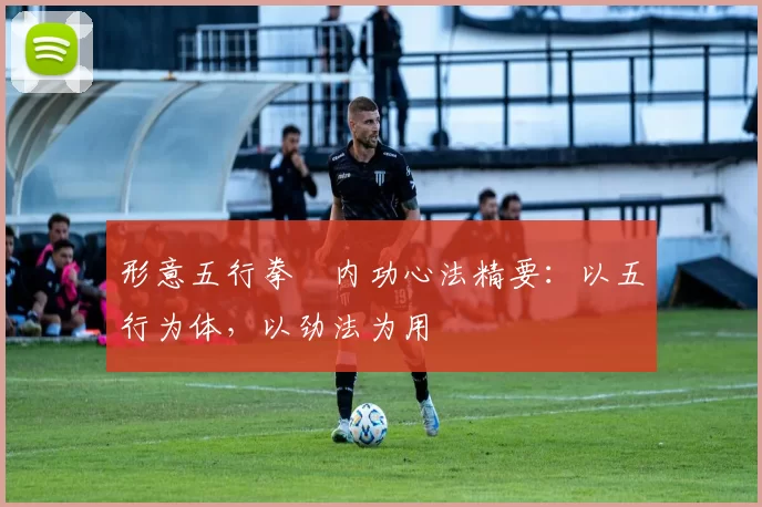 形意五行拳・内功心法精要：以五行为体，以劲法为用