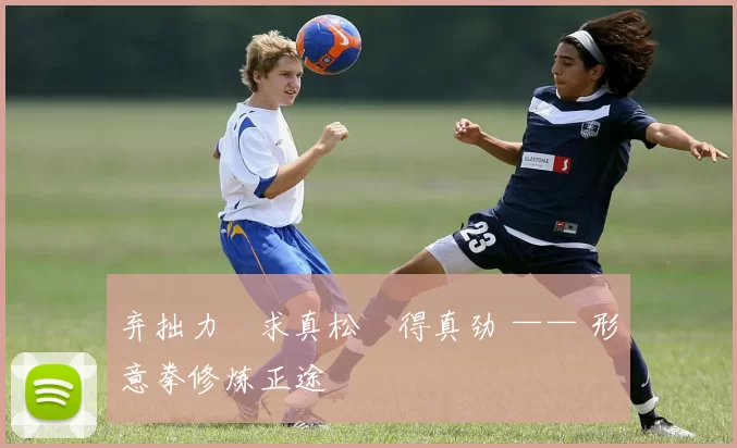 弃拙力・求真松・得真劲 —— 形意拳修炼正途