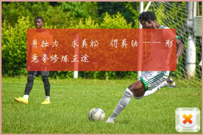 弃拙力・求真松・得真劲 —— 形意拳修炼正途