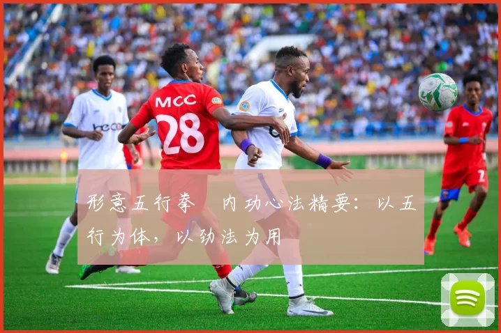 形意五行拳・内功心法精要:以五行为体,以劲法为用