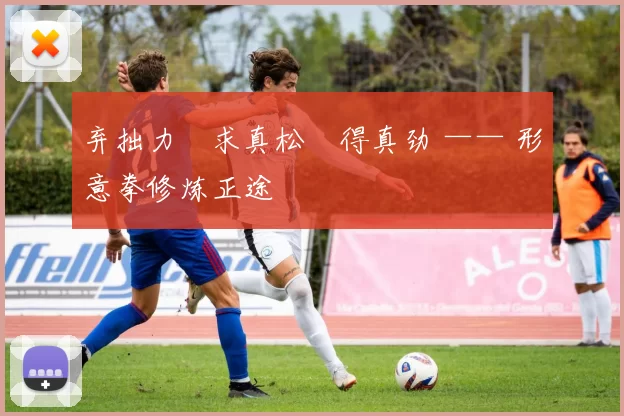 弃拙力・求真松・得真劲 —— 形意拳修炼正途