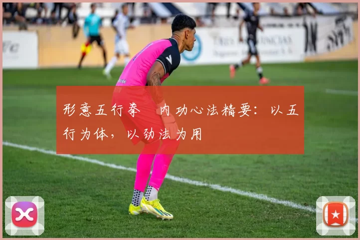 形意五行拳・内功心法精要：以五行为体，以劲法为用