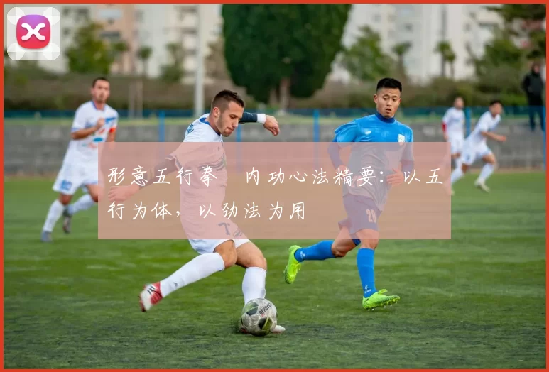 形意五行拳・内功心法精要:以五行为体,以劲法为用