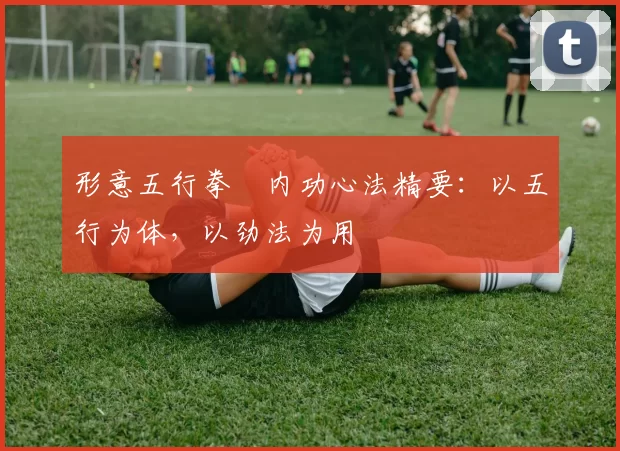 形意五行拳・内功心法精要:以五行为体,以劲法为用