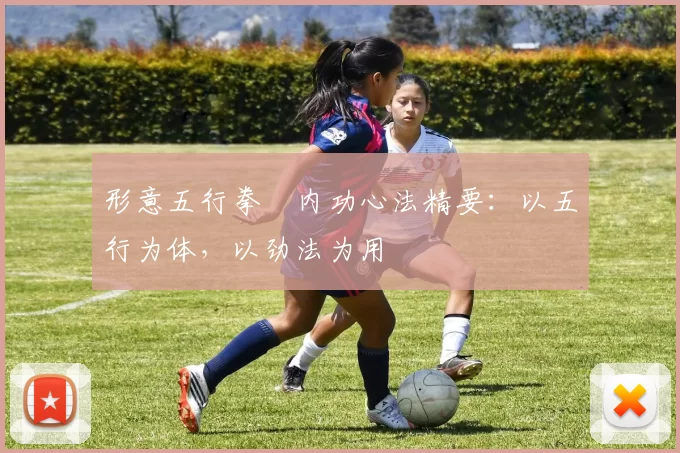 形意五行拳・内功心法精要：以五行为体，以劲法为用