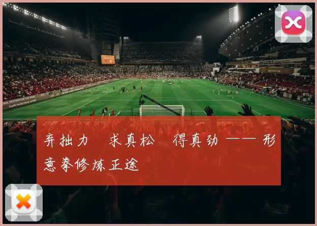 弃拙力・求真松・得真劲 —— 形意拳修炼正途