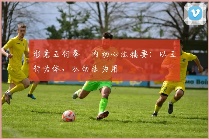 形意五行拳・内功心法精要：以五行为体，以劲法为用