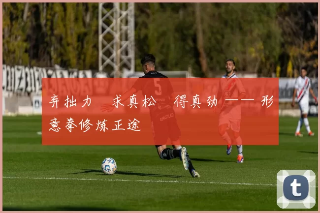 弃拙力・求真松・得真劲 —— 形意拳修炼正途
