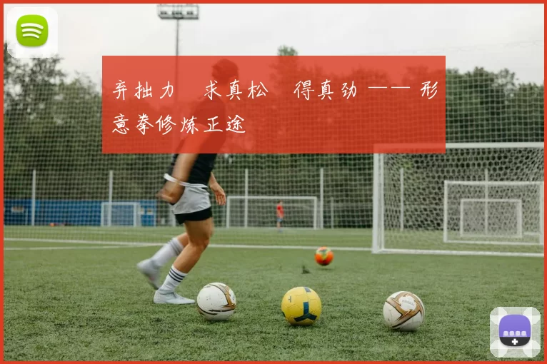 弃拙力・求真松・得真劲 —— 形意拳修炼正途