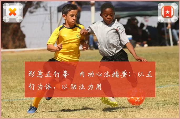 形意五行拳・内功心法精要：以五行为体，以劲法为用