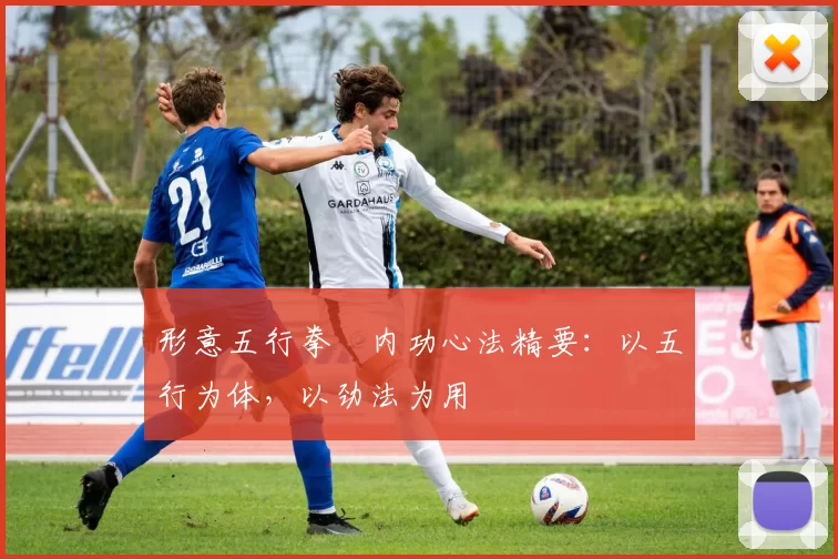 形意五行拳・内功心法精要:以五行为体,以劲法为用