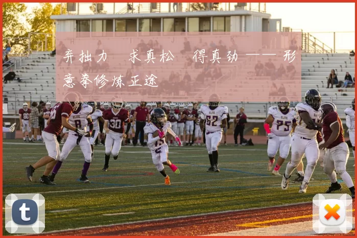 弃拙力・求真松・得真劲 —— 形意拳修炼正途